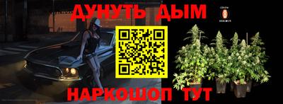 mdpv Рыбинск