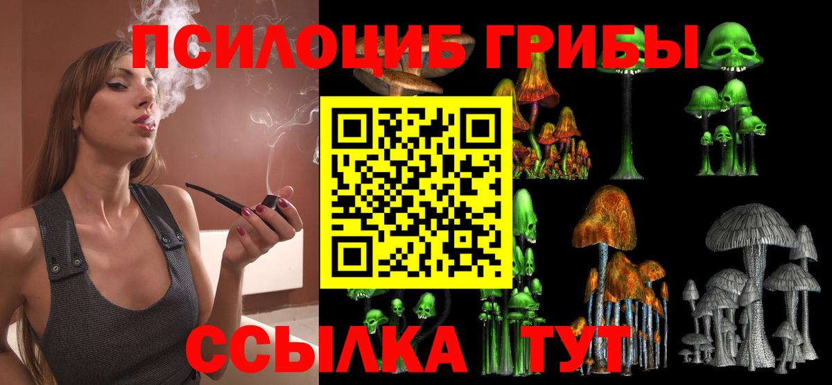 Псилоцибиновые грибы мухоморы Борисоглебск